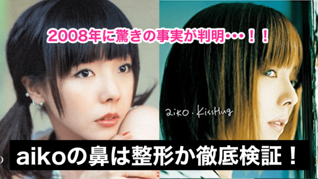 【画像比較】aikoの鼻筋が変！整形か時系列で検証→2008年に驚きの事実が判明！